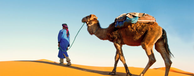 Morocco desert trip